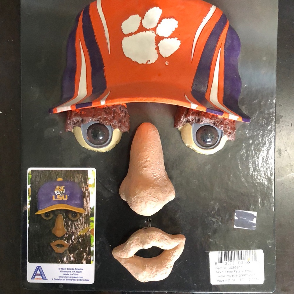 Clemson Forest Face